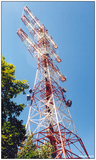 A Selection From A Decade Of Visits To Tower And Studio